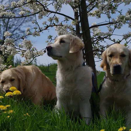 Bed & Breakfast La Bonne Esperance