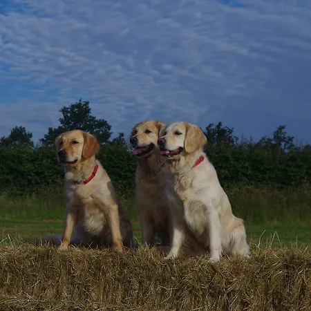 La Bonne Esperance Libin