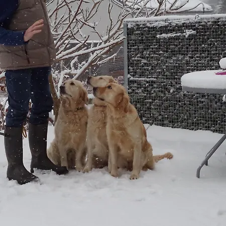 Bed & Breakfast La Bonne Esperance 3*